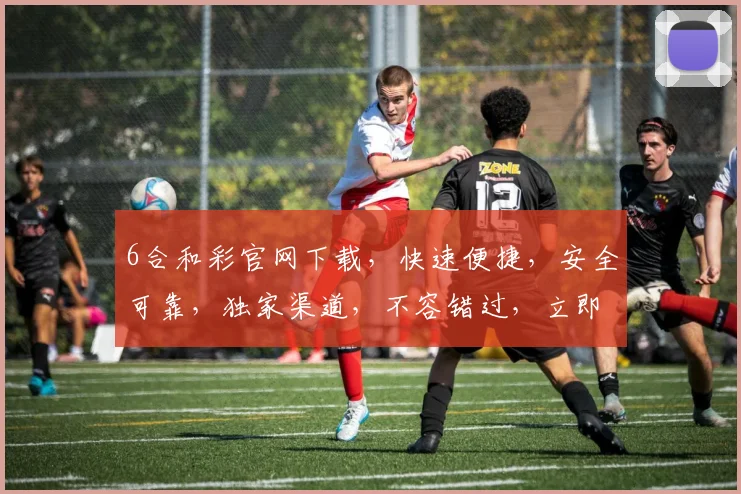 6合和彩官网下载，快速便捷，安全可靠，独家渠道，不容错过，立即体验