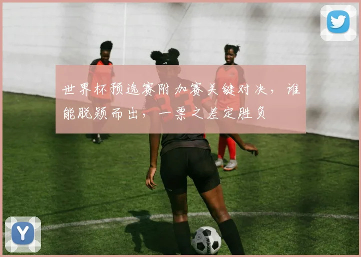 世界杯预选赛附加赛关键对决，谁能脱颖而出，一票之差定胜负