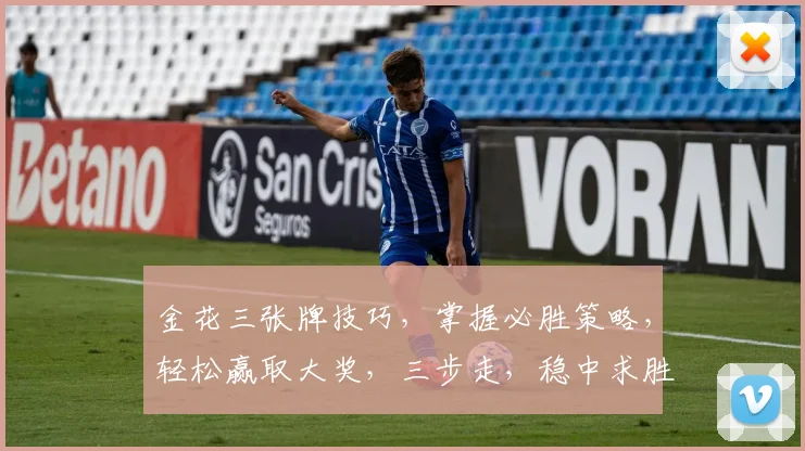 金花三张牌技巧，掌握必胜策略，轻松赢取大奖，三步走，稳中求胜，玩转牌桌